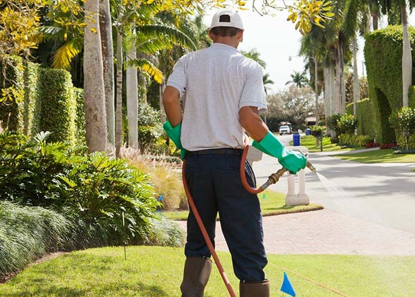 About Valley Head AL Pest Control